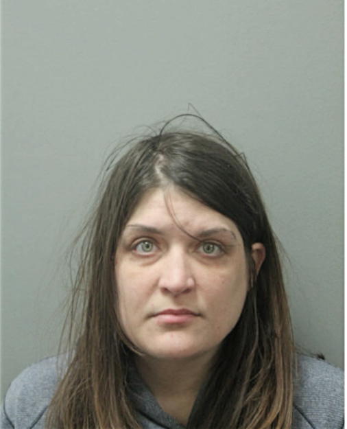 ANDREA M LIVINGSTON, Cook County, Illinois