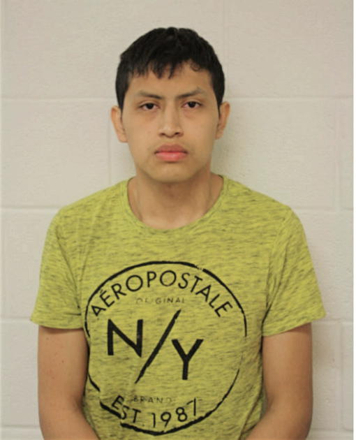 NICOLAS H MONTESDEOCA, Cook County, Illinois