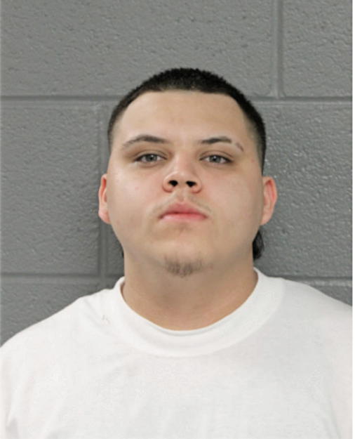 AVERY MURILLO, Cook County, Illinois