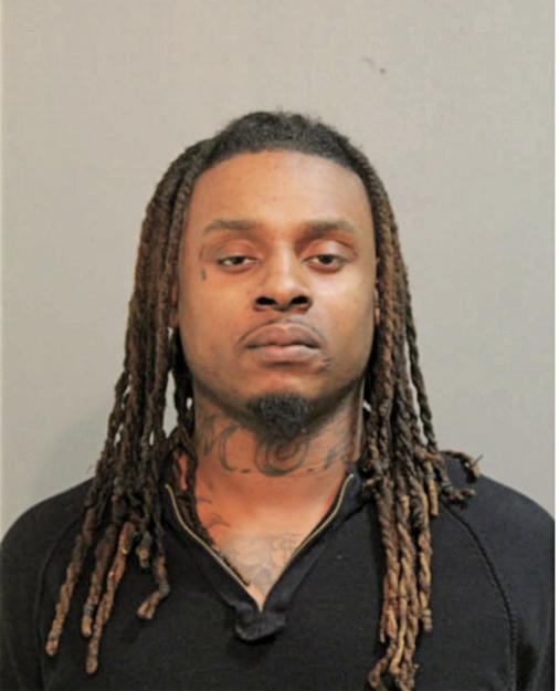 DAVID MICHAEL OBANNER, Cook County, Illinois