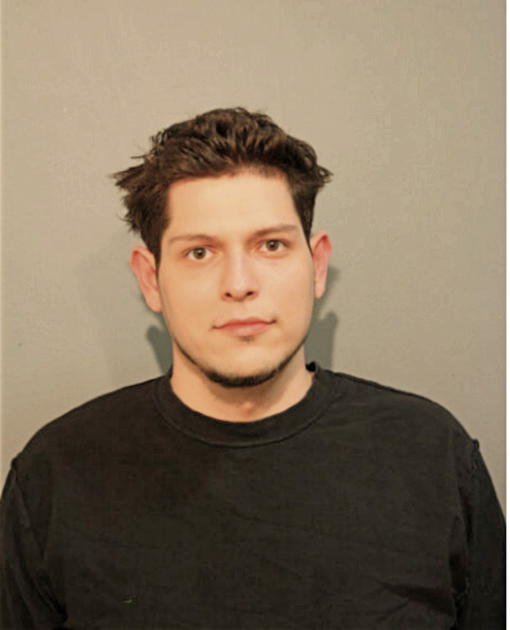 TIMOTHY L PUTMAN, Cook County, Illinois
