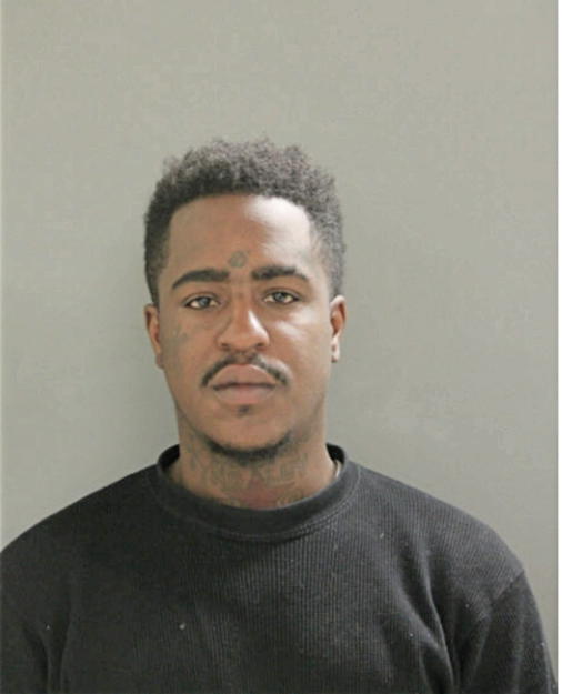 DERRELL D REDMON, Cook County, Illinois