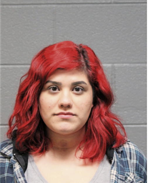 ELISA N RODRIGUEZ, Cook County, Illinois