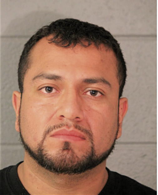 ALEDRANDRO RUIZ, Cook County, Illinois