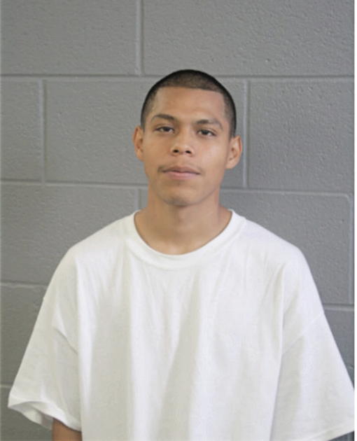 FRANCISCO SALGADO, Cook County, Illinois