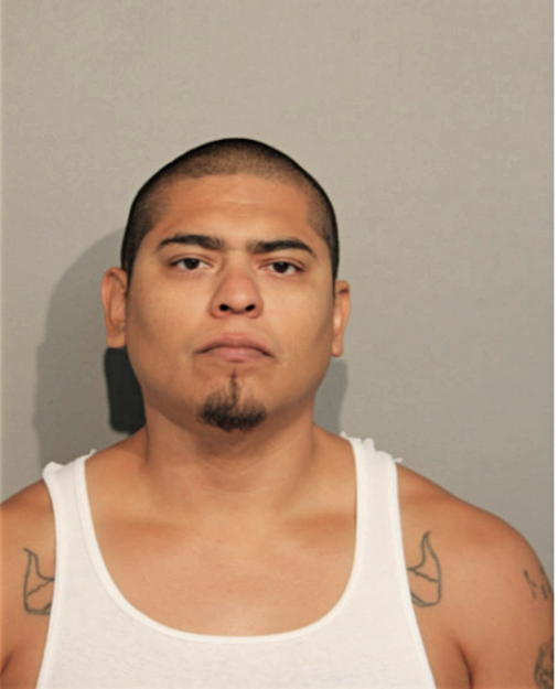 LUIS ENRIQUE SANCHEZ, Cook County, Illinois