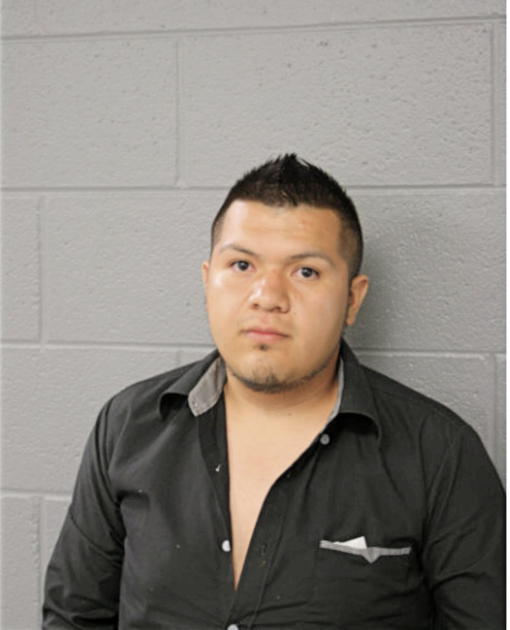 PEDRO L SANTIAGO, Cook County, Illinois