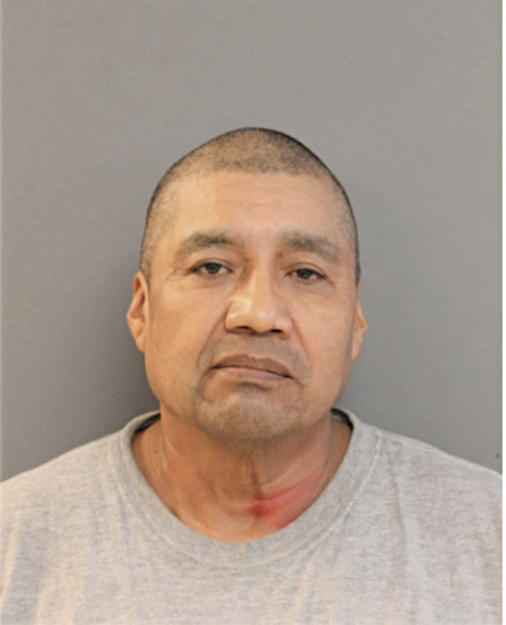 DOMINGO TEANDON, Cook County, Illinois