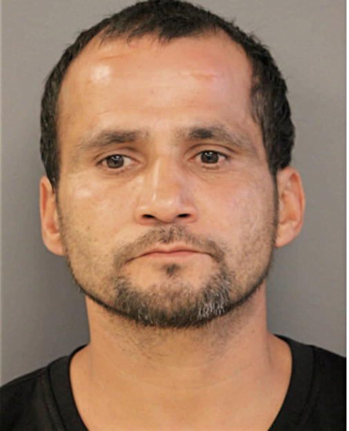 MARIO A TIJERINA, Cook County, Illinois