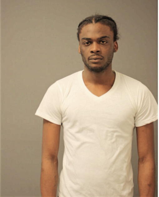 MICHAEL S CEASER, Cook County, Illinois