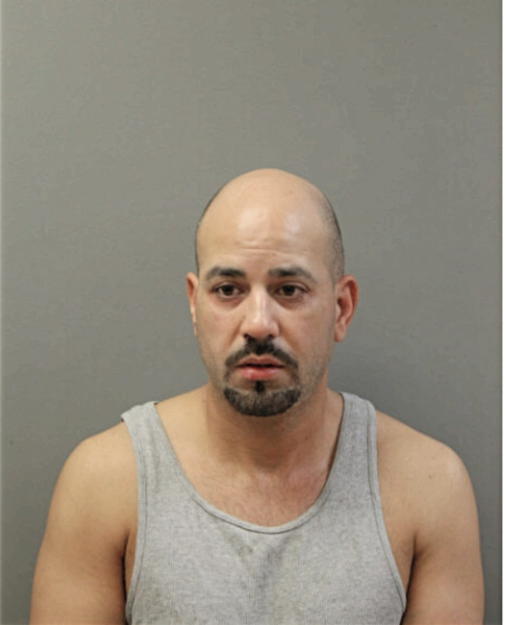 ANGEL R COLON, Cook County, Illinois