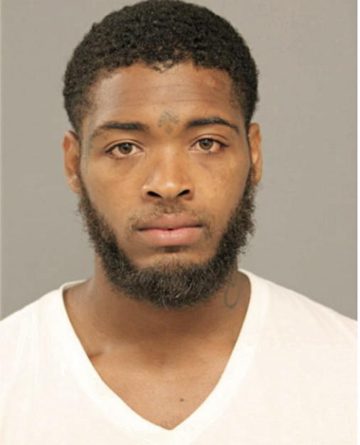 ELIJAH J DAVIS, Cook County, Illinois