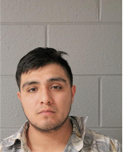 EDGAR D DIAZ, Cook County, Illinois