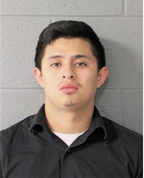 MICHAEL A ESTRADA, Cook County, Illinois