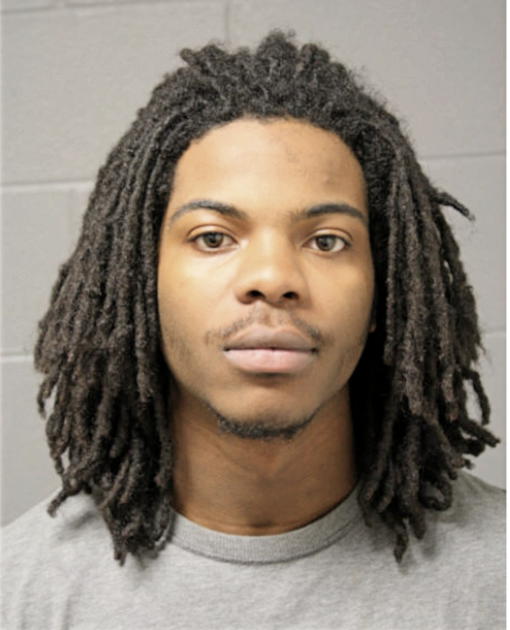 DARNELL A FORD, Cook County, Illinois