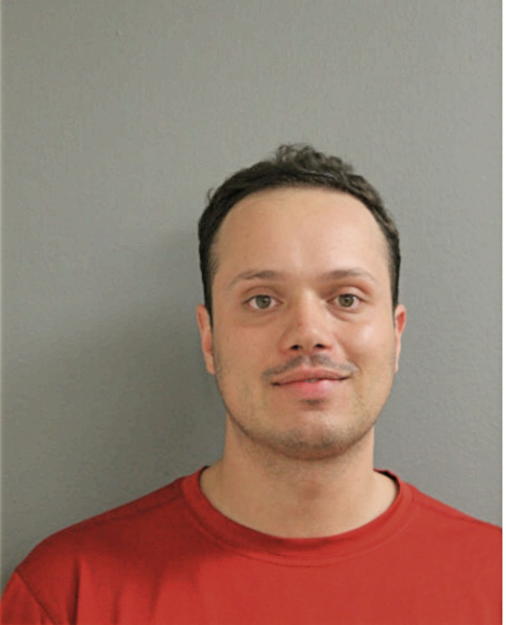 DAVE T GAODE, Cook County, Illinois