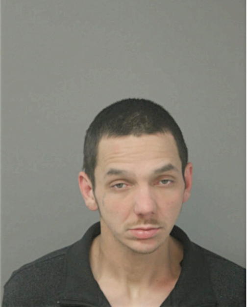 BRIAN HAMILTON, Cook County, Illinois