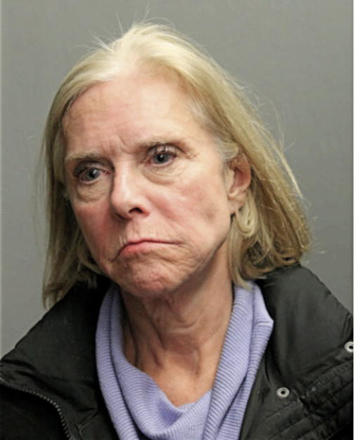 ELIZABETH A HANSEN, Cook County, Illinois