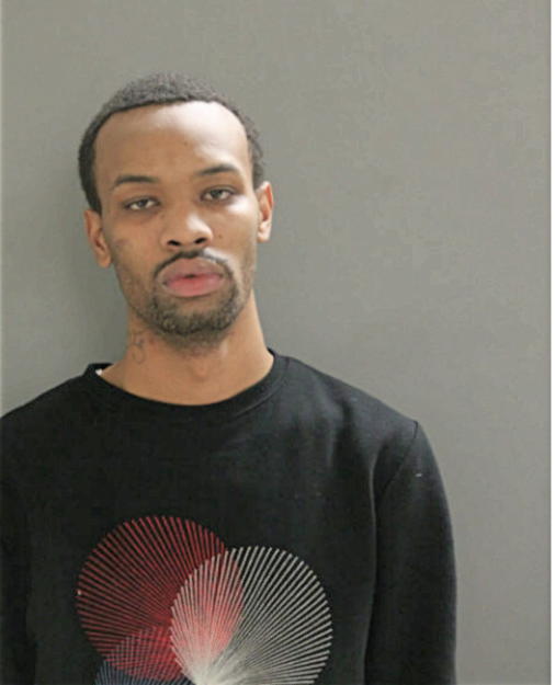 WILLIAM F IRVING, Cook County, Illinois