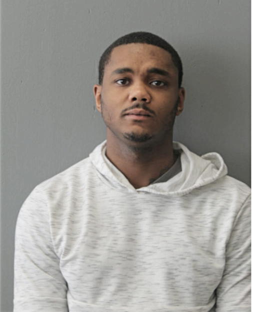 BRUCE A JAMES, Cook County, Illinois