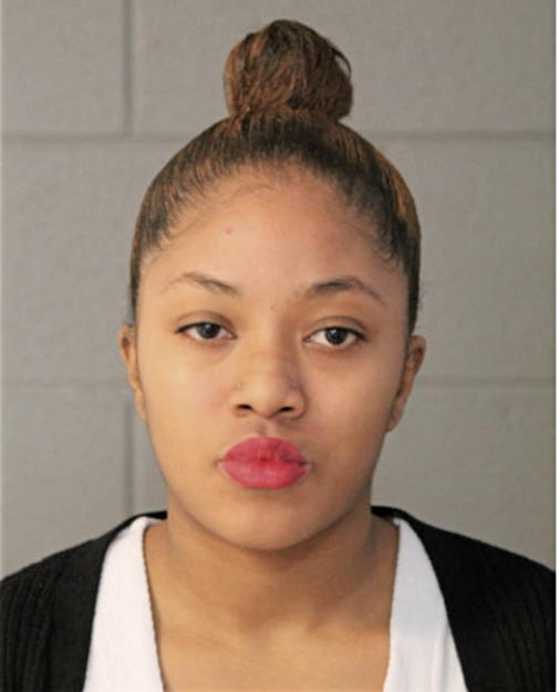 ANTIONETTE A JOHNSON, Cook County, Illinois