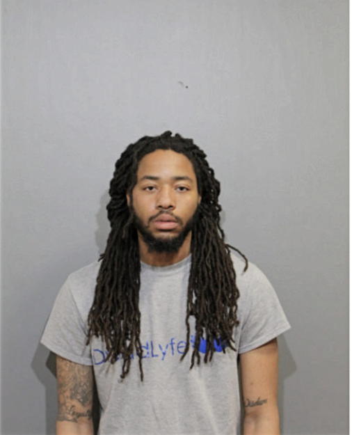 CHRISTOPHER D JOHNSON, Cook County, Illinois