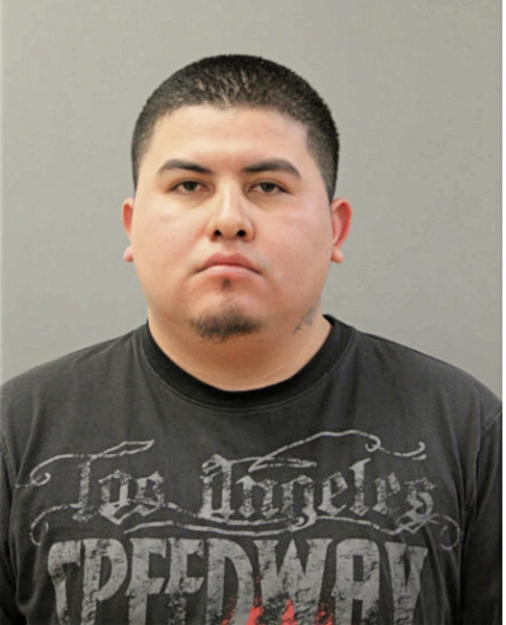 CLEMENTE MENDOZA, Cook County, Illinois