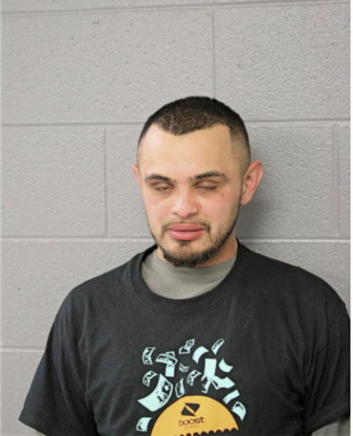 MICHAEL MICHAILDIS, Cook County, Illinois