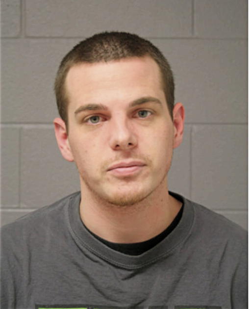 WILLIAM J PARKER, Cook County, Illinois