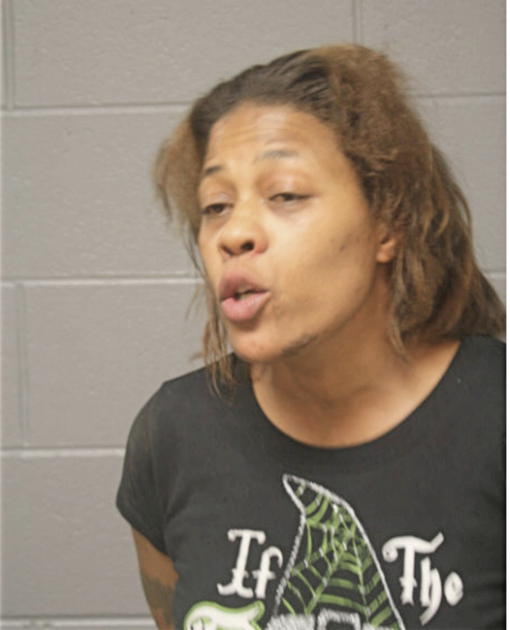 SHAWRON M PRUITT, Cook County, Illinois