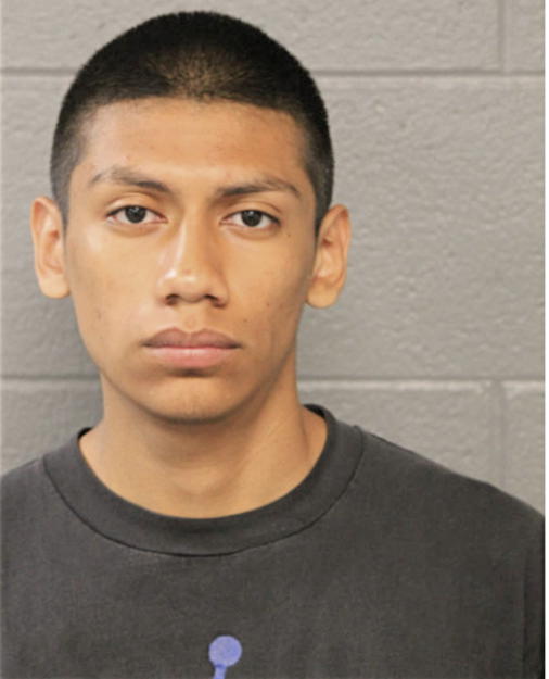 JULIO RICO, Cook County, Illinois