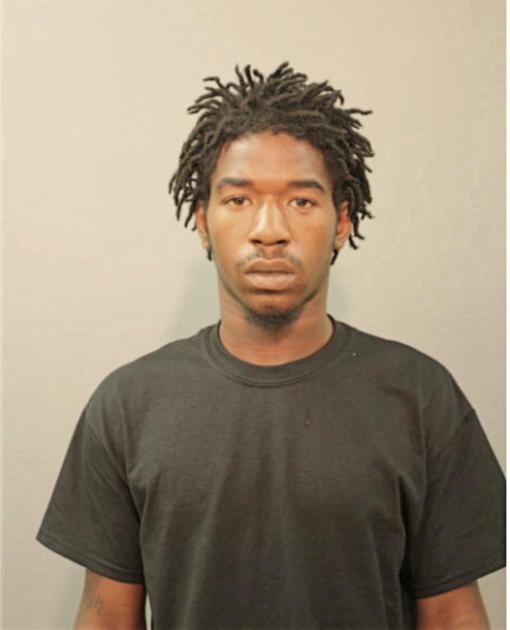 MICHAEL D RODGERS, Cook County, Illinois