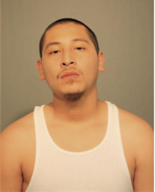 EMANUEL ROMAN, Cook County, Illinois