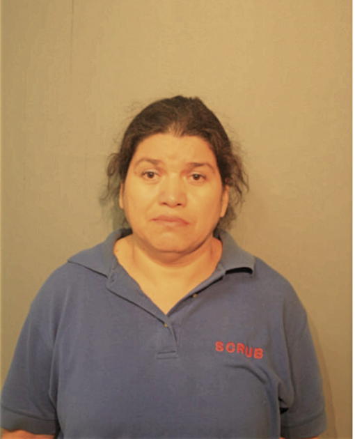 SANDARA SAGASTUME, Cook County, Illinois