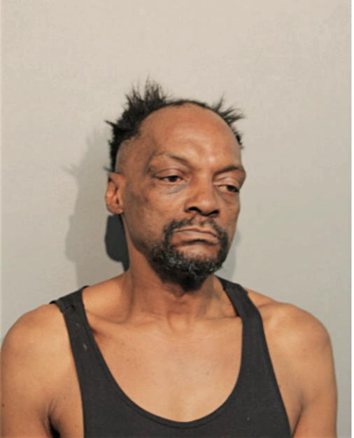 WILL SAVAGE, Cook County, Illinois