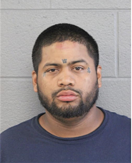 RAMON V IBANEZ, Cook County, Illinois