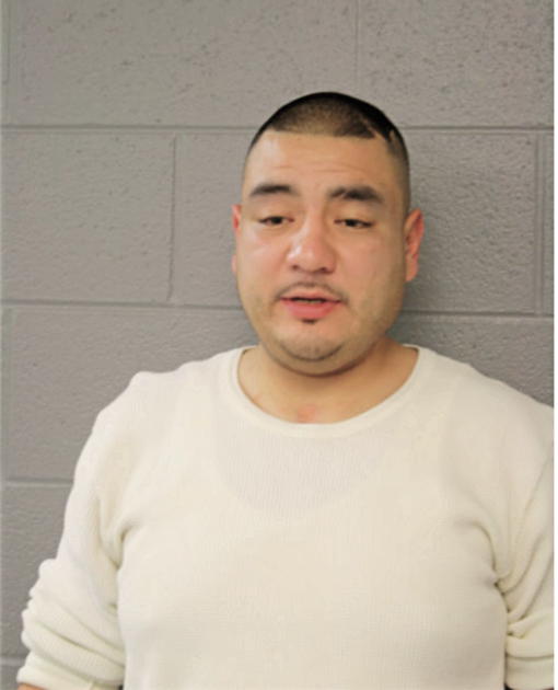 LUIS A VACA, Cook County, Illinois