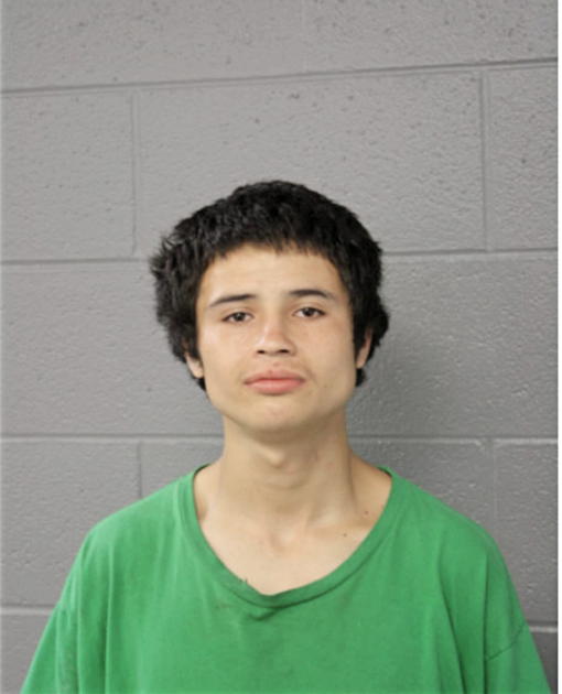JUAN A VILLAGRANA, Cook County, Illinois
