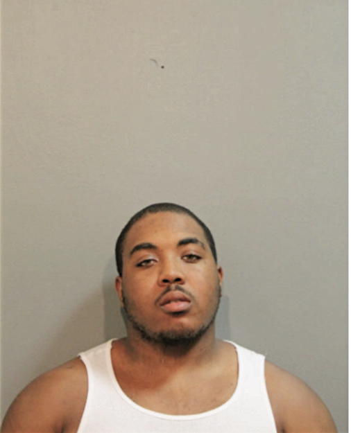 KIRK D ANDERSON, Cook County, Illinois