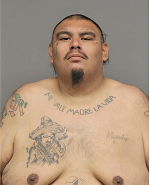 SANTIAGO ARROYO, Cook County, Illinois