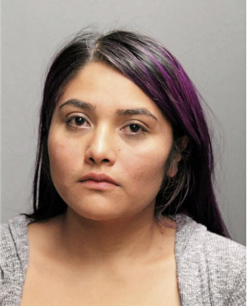 MONICA BOLLERA, Cook County, Illinois
