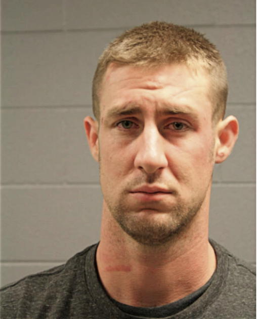 BRIAN D CAREY, Cook County, Illinois
