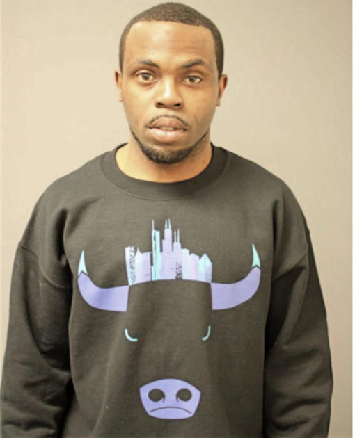 TERRANCE S COLLINS, Cook County, Illinois