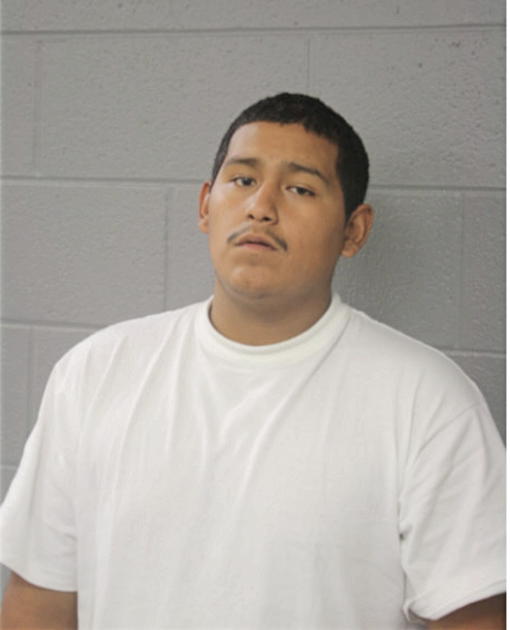LUIS A CULCAY, Cook County, Illinois