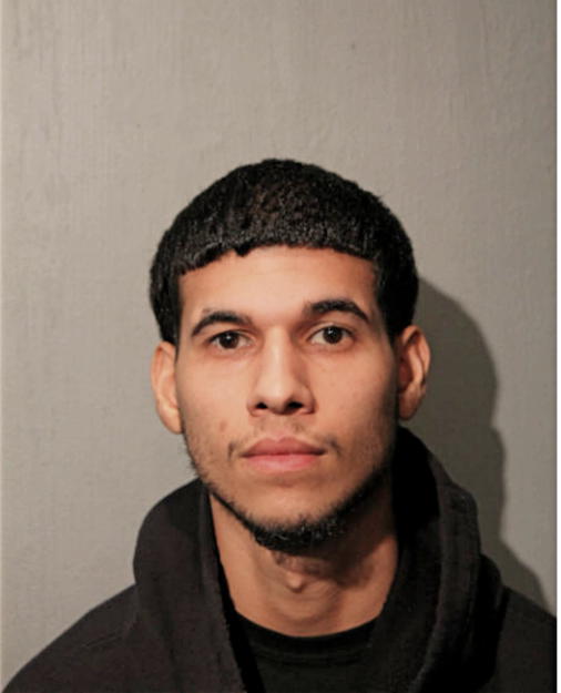 JOSE L GONZLAEZ, Cook County, Illinois