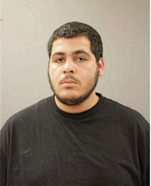 HECTOR J HERNANDEZ, Cook County, Illinois