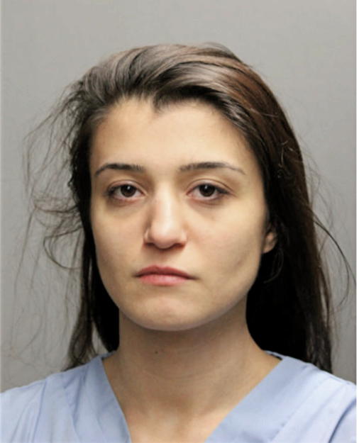 NERMINA JAKUPOVIC, Cook County, Illinois