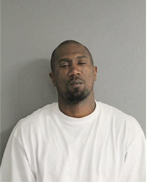 ANTHONY L JOHNSON, Cook County, Illinois