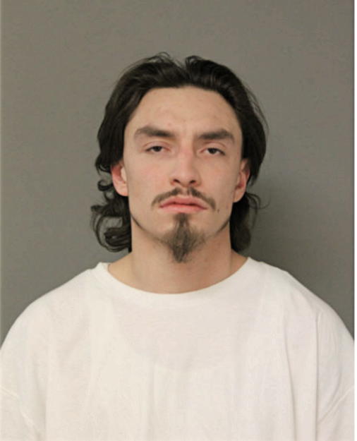 DAVID DILLON JOHNSON, Cook County, Illinois