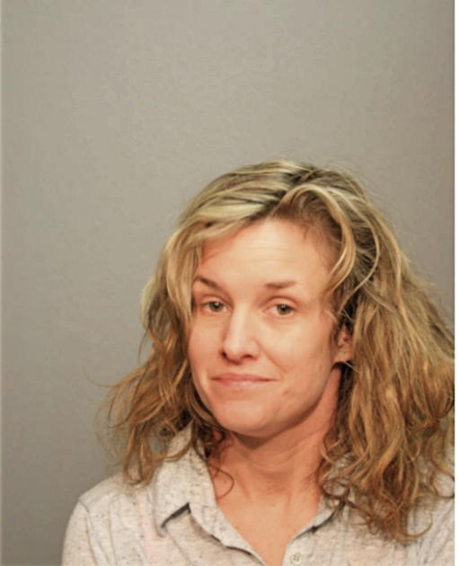 SARAH E LEHN, Cook County, Illinois